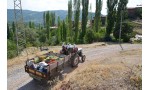 El Yapımı, Doğal Hatay Üzüm Pekmezi 1 Kg